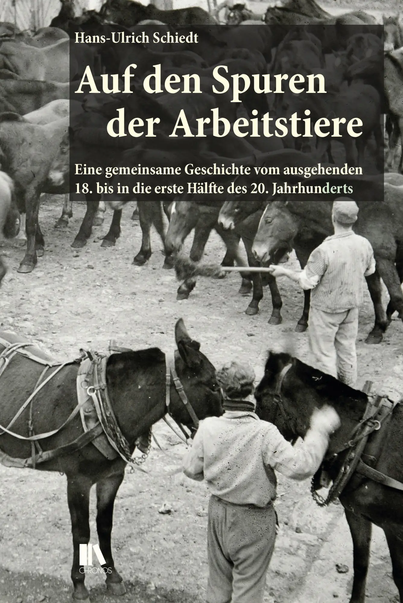 Cover: 9783034017640 | Auf den Spuren der Arbeitstiere | Hans-Ulrich Schiedt | Buch | 338 S.