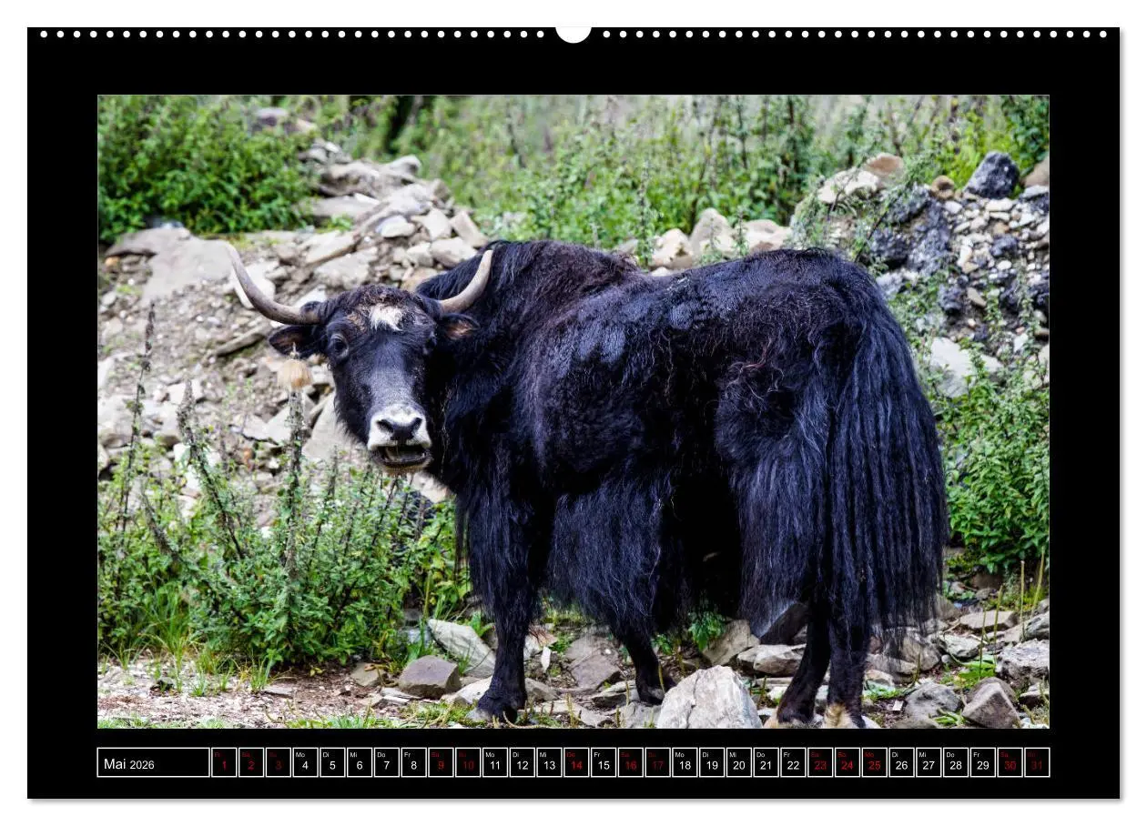Bild: 9783457847640 | Eine Rundreise durch Tibet (Wandkalender 2026 DIN A2 quer),...