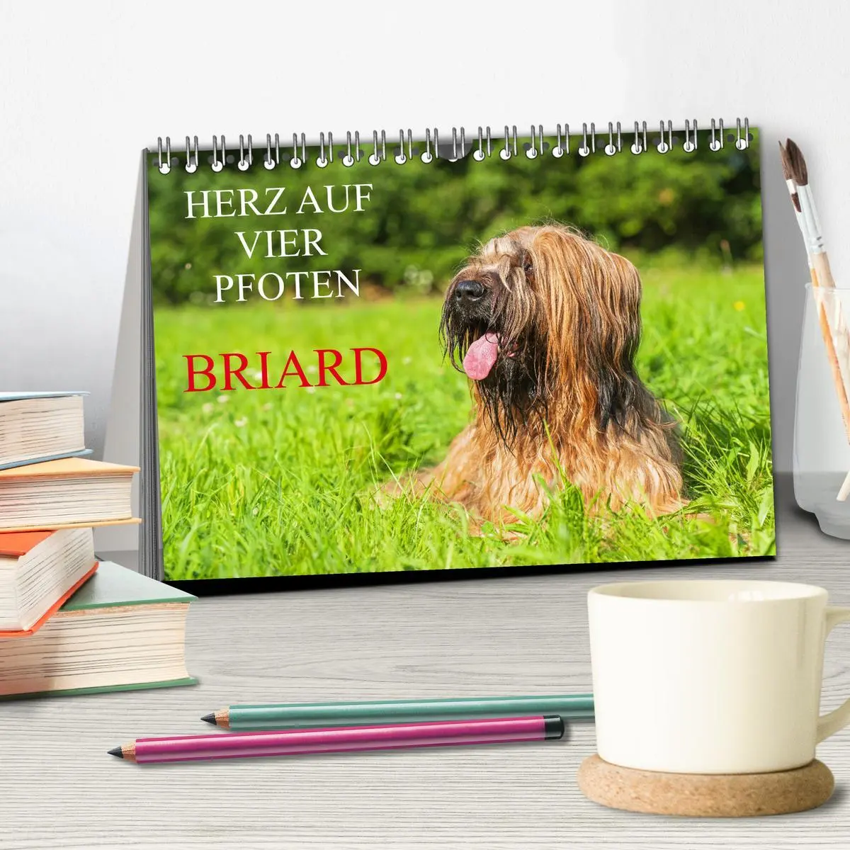 Bild: 9783457387740 | Herz auf vier Pfoten - Briard (Tischkalender 2026 DIN A5 quer),...