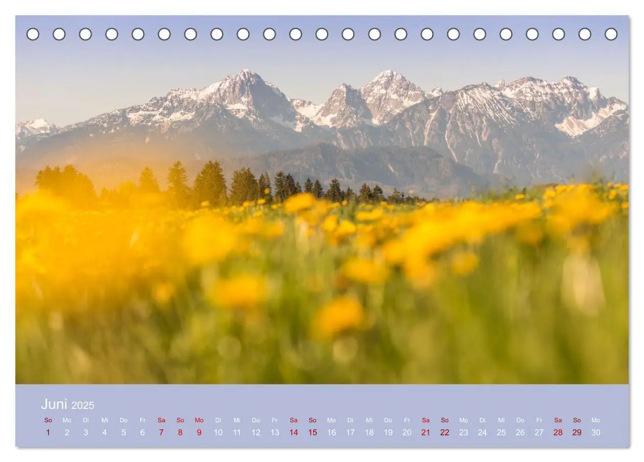 Bild: 9783383957840 | Heimweh Allgäu 2025 (Tischkalender 2025 DIN A5 quer), CALVENDO...
