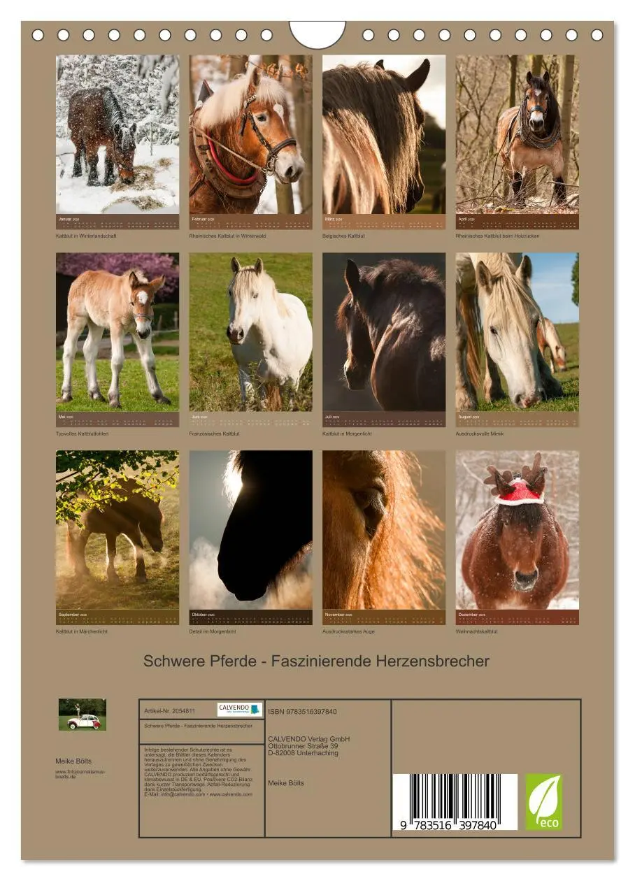 Bild: 9783516397840 | Schwere Pferde - Faszinierende Herzensbrecher (Wandkalender 2026...