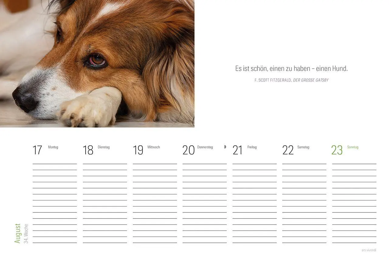 Bild: 9783747207840 | Tischkalender Hunde 2027 | Wochentischkalender | Vivendi Ars | 53 S.