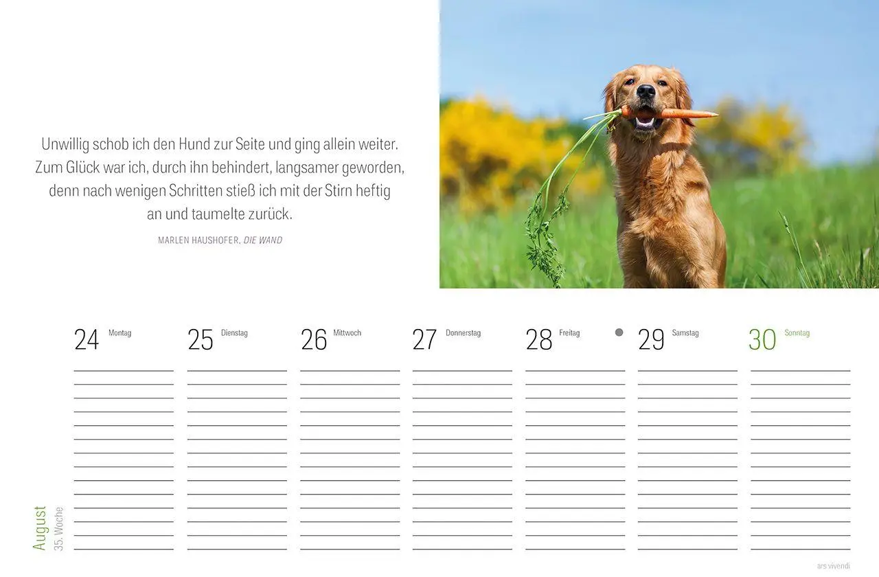 Bild: 9783747207840 | Tischkalender Hunde 2027 | Wochentischkalender | Vivendi Ars | 53 S.