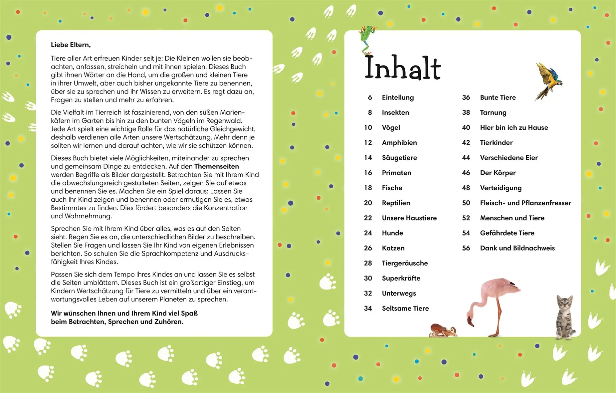 Bild: 9783831047840 | 1000 erste Wörter. Tiere | Jules Pottle | Buch | 56 S. | Deutsch