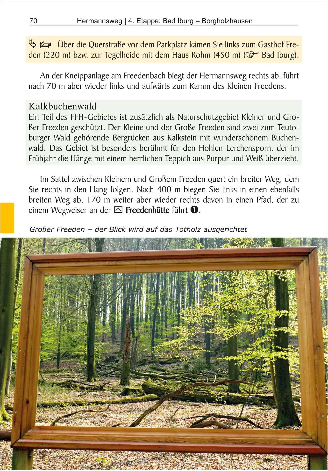 Bild: 9783866867840 | Hermannsweg - Eggeweg | Martin Simon | Taschenbuch | 160 S. | Deutsch