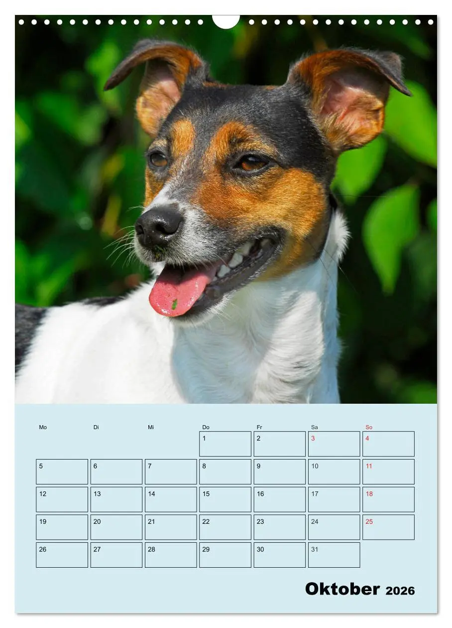 Bild: 9783516387940 | Familienplaner Jack und Parson Russell Terrier (Wandkalender 2026...