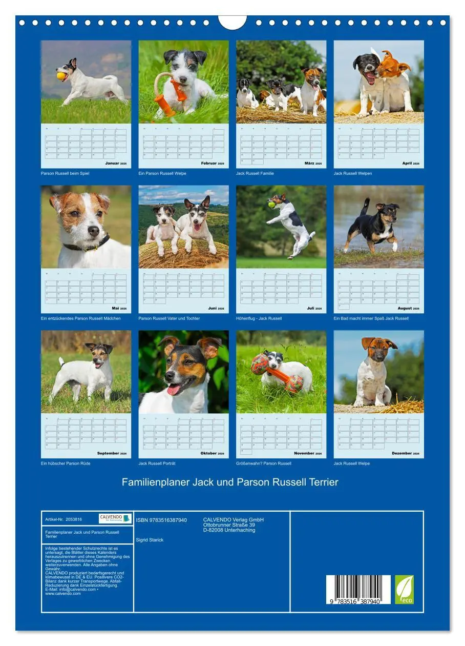 Bild: 9783516387940 | Familienplaner Jack und Parson Russell Terrier (Wandkalender 2026...
