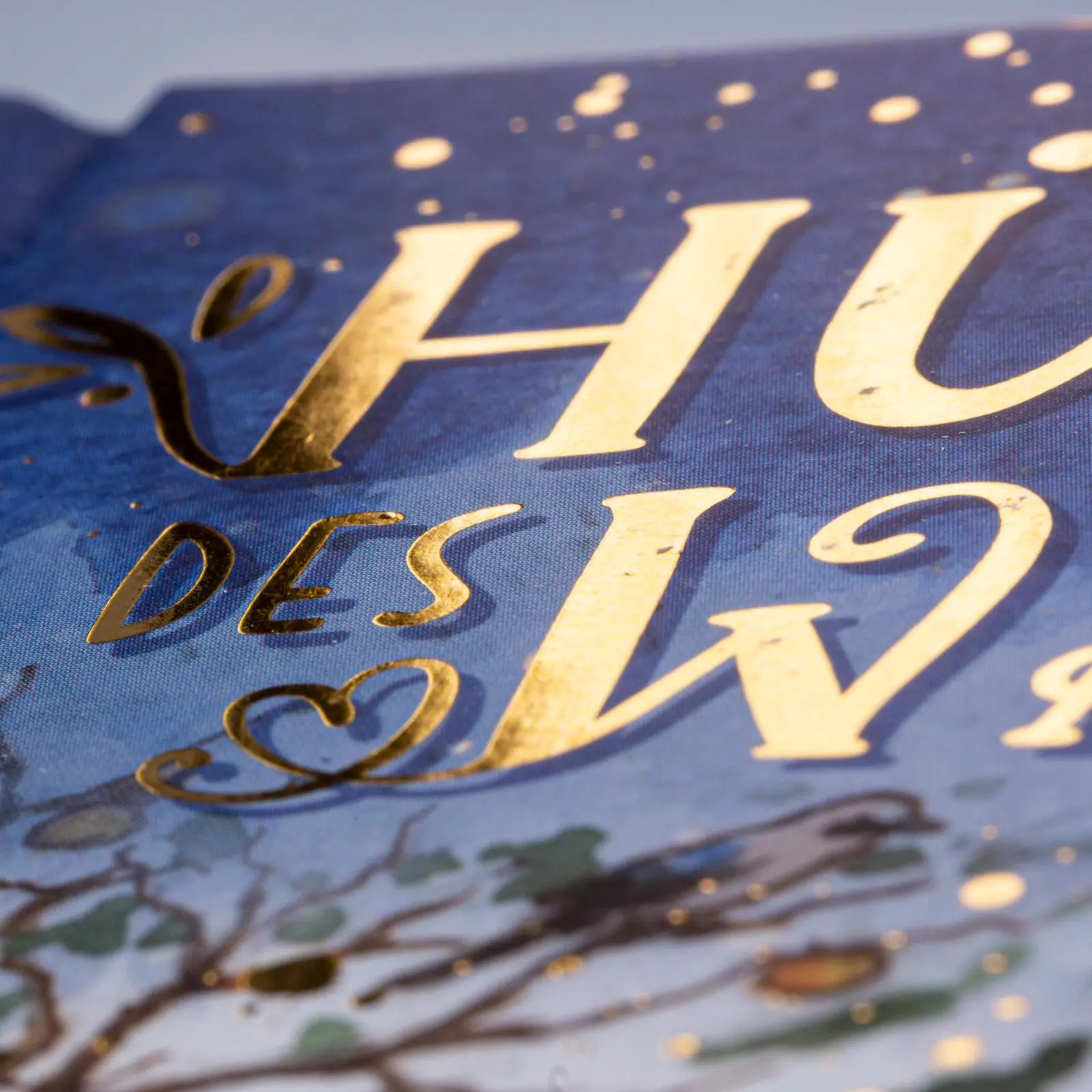 Bild: 9783551557940 | Hüterin des Waldes 4: Spuren im Schnee | Mona Larch | Buch | 128 S.