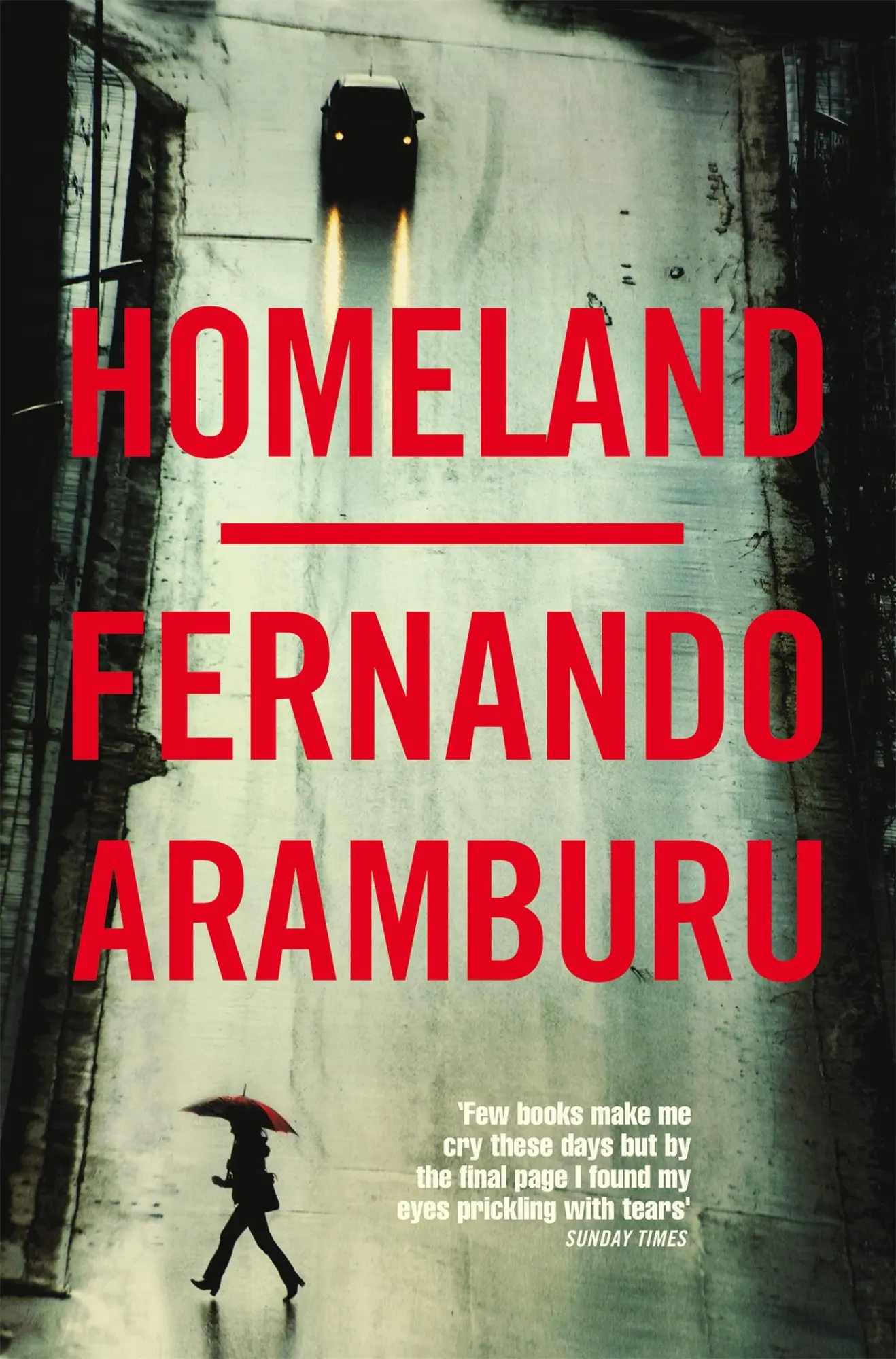 Cover: 9781509858040 | Homeland | Fernando Aramburu | Taschenbuch | X | Englisch | 2020