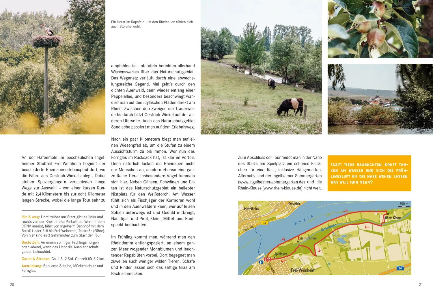 Bild: 9783616028040 | 52 kleine &amp; große Eskapaden in Rheinhessen | Ab nach draußen! | Buch