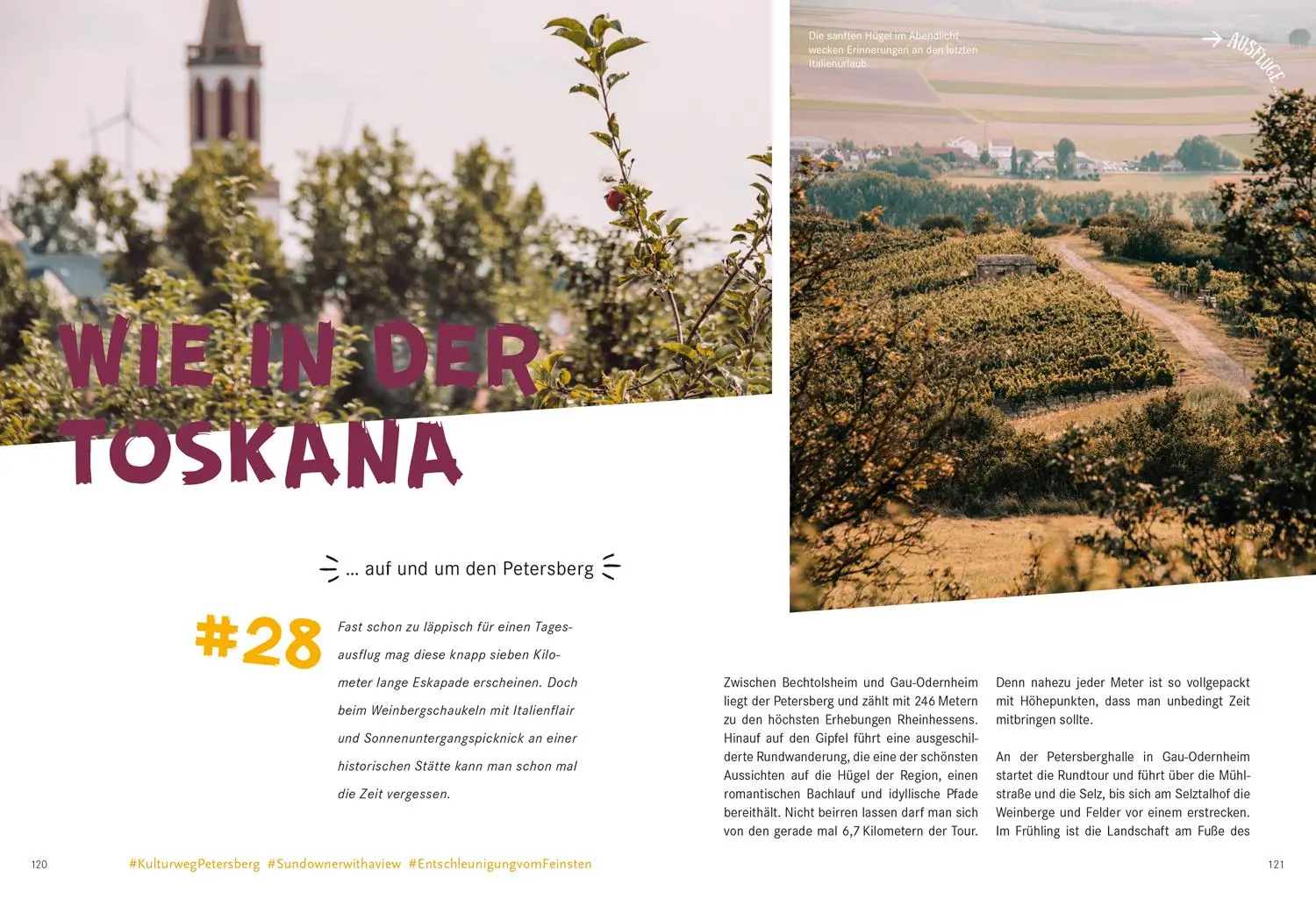 Bild: 9783616028040 | 52 kleine &amp; große Eskapaden in Rheinhessen | Ab nach draußen! | Buch