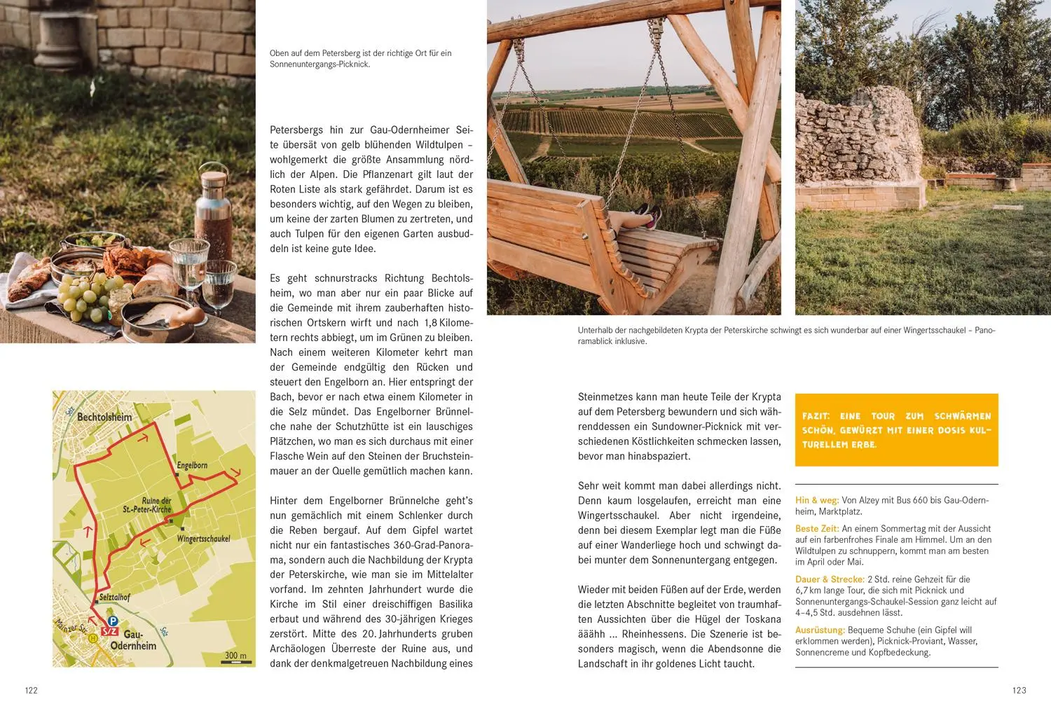 Bild: 9783616028040 | 52 kleine &amp; große Eskapaden in Rheinhessen | Ab nach draußen! | Buch