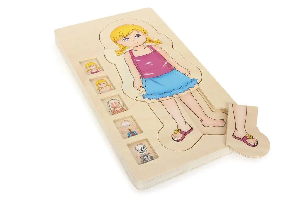 Bild: 4020972058140 | Schichtenpuzzle Anatomie Mädchen | small foot | Spiel | 5814 | Deutsch