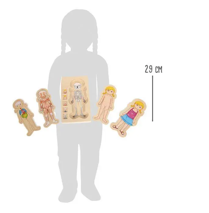 Bild: 4020972058140 | Schichtenpuzzle Anatomie Mädchen | small foot | Spiel | 5814 | Deutsch