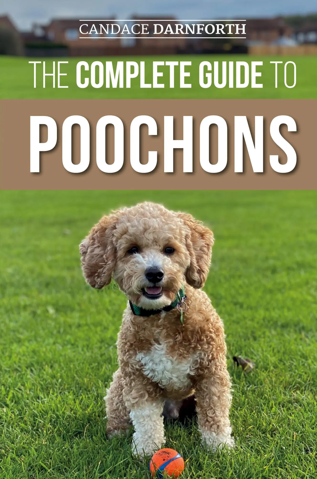 Cover: 9781954288140 | The Complete Guide to Poochons | Candace Darnforth | Taschenbuch