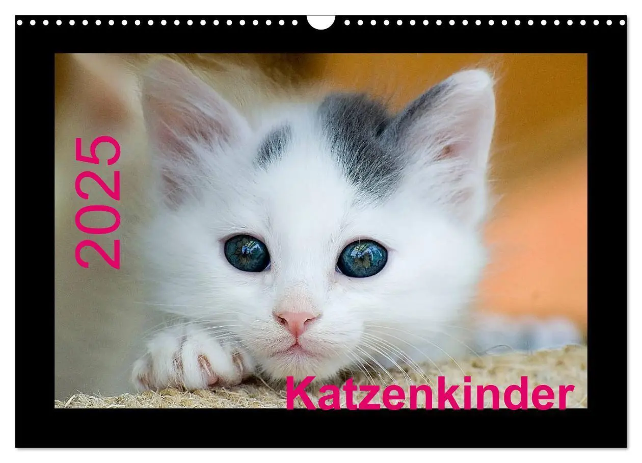 Cover: 9783435778140 | Katzenkinder (Wandkalender 2025 DIN A3 quer), CALVENDO Monatskalender