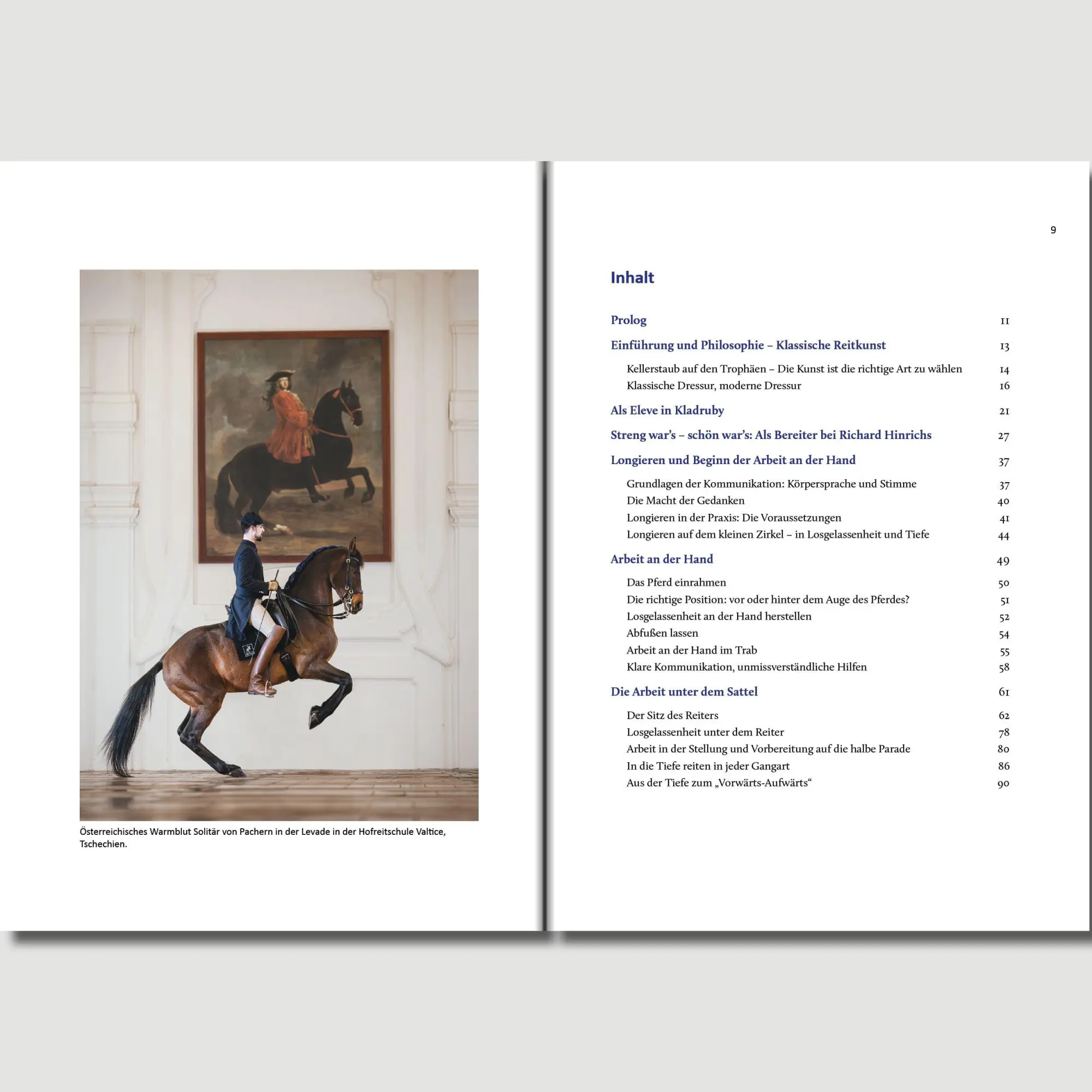 Bild: 9783758208140 | Ich bilde Pferde aus, Pferde bilden mich aus | Jan Némec | Buch | 2025
