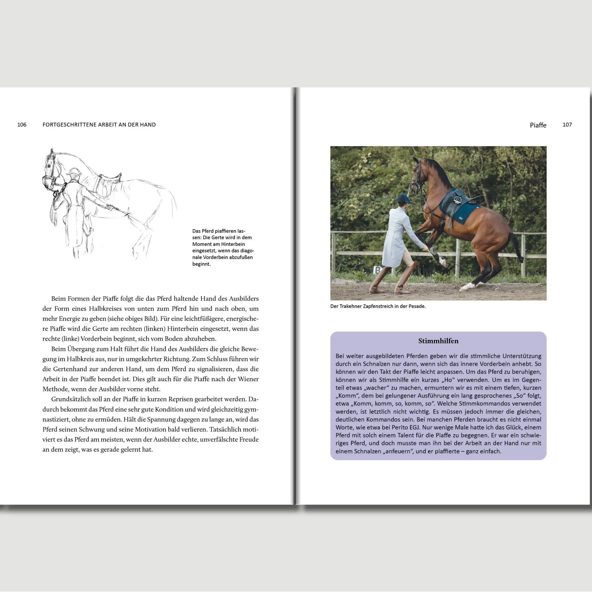 Bild: 9783758208140 | Ich bilde Pferde aus, Pferde bilden mich aus | Jan Némec | Buch | 2025