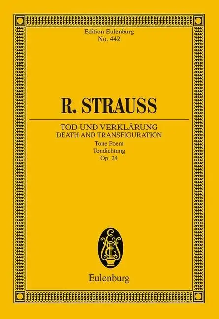 Cover: 9783795768140 | Tod und Verklärung | Richard Strauss | Taschenbuch | 112 S. | Deutsch