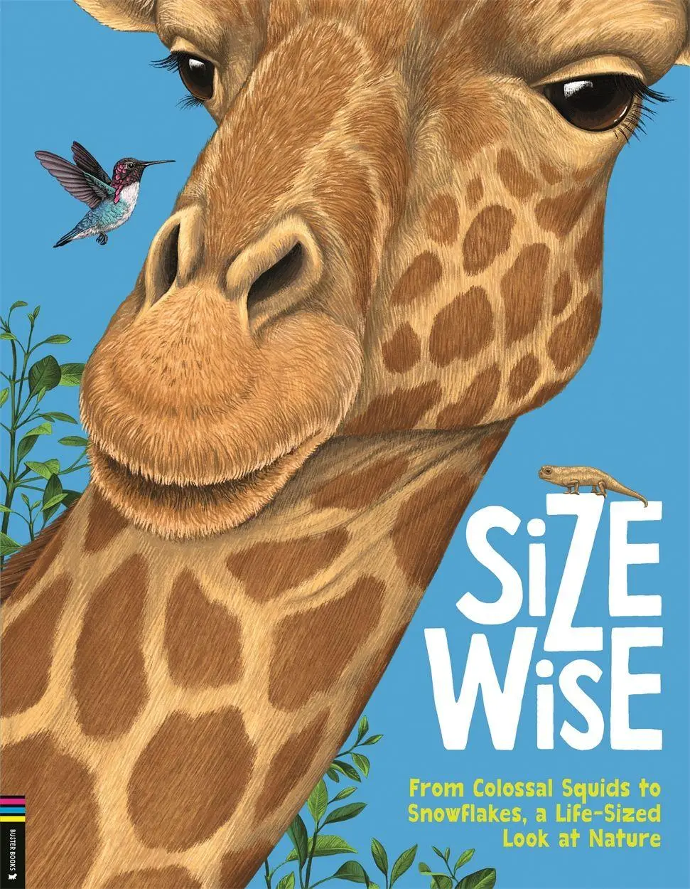 Size Wise - Camilla de la Bedoyere Gebunden