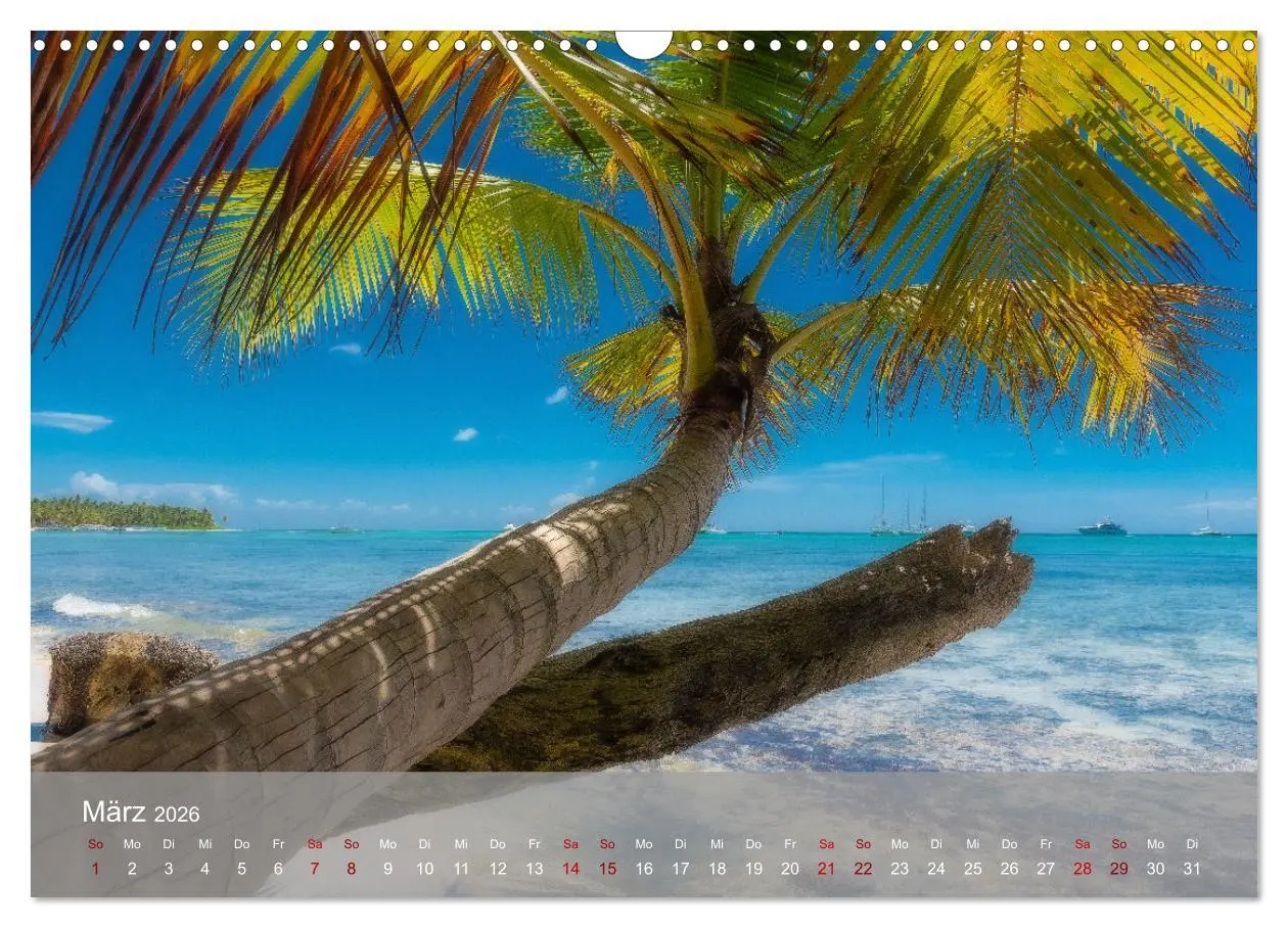 Bild: 9783457618240 | Karibik Traum Isla Saona (Wandkalender 2026 DIN A3 quer), CALVENDO...