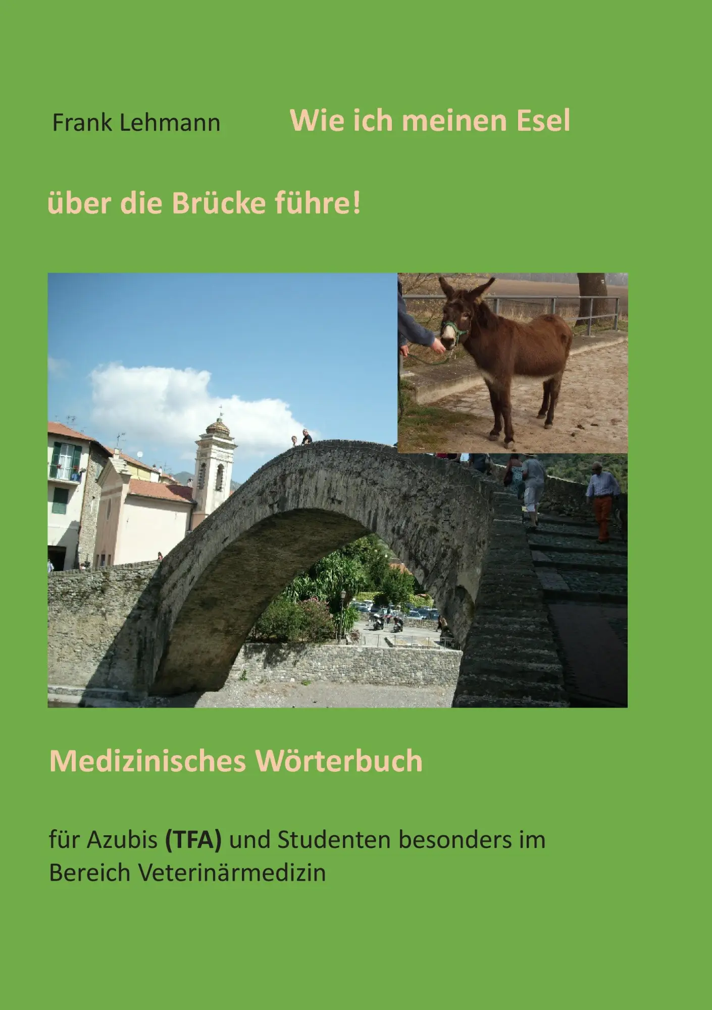 Cover: 9783735738240 | Wie ich meinen Esel über die Brücke führe | Medizinisches Wörterbuch