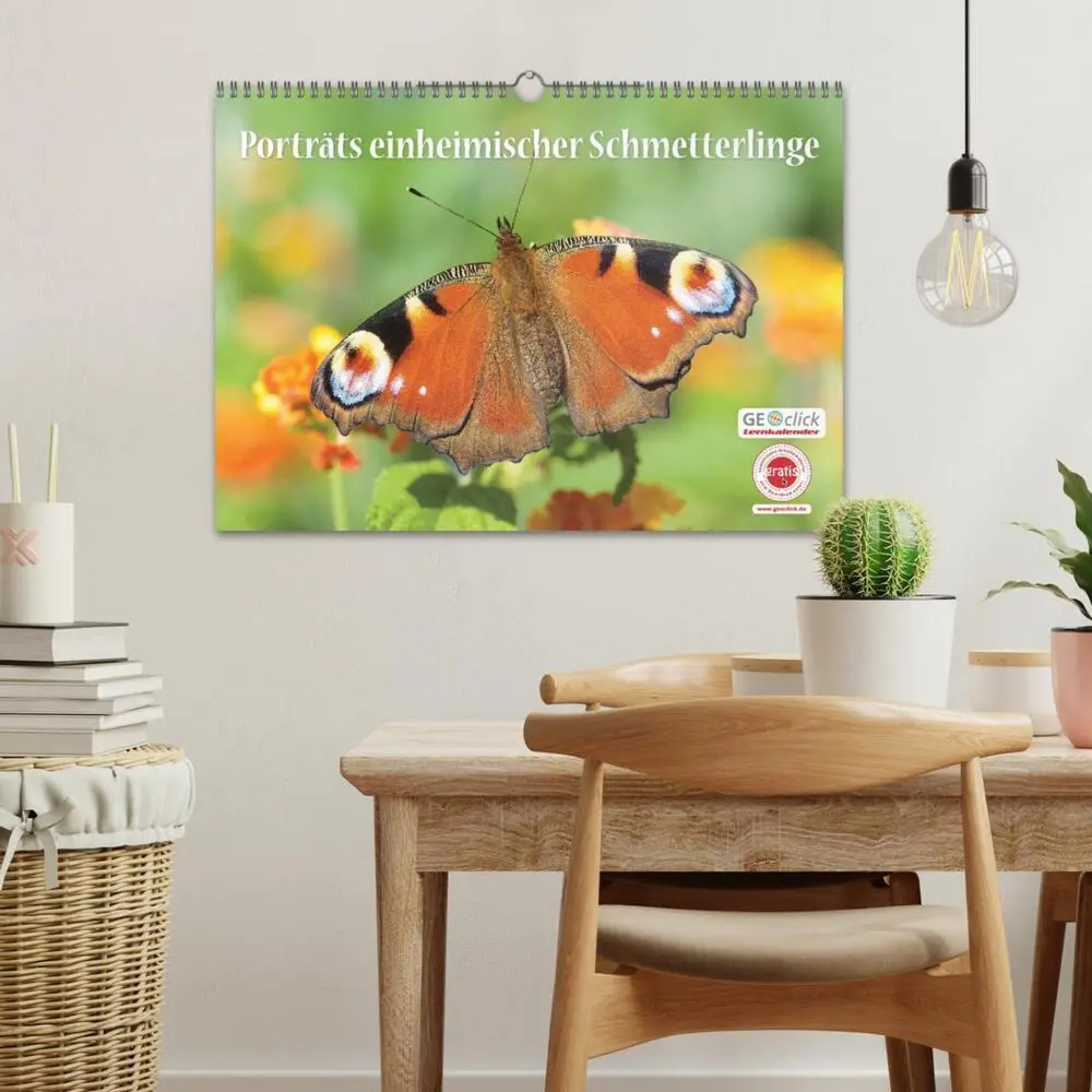 Bild: 9783457768440 | GEOclick Lernkalender: Porträts einheimischer Schmetterlinge...