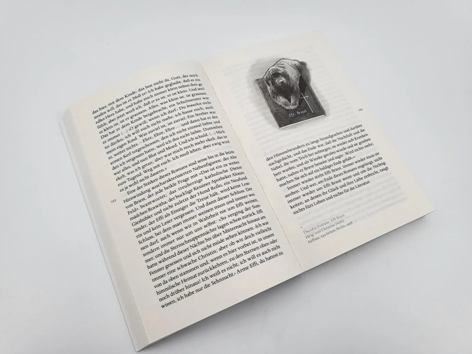 Bild: 9783492318440 | Schecks Kanon | Denis Scheck | Taschenbuch | 480 S. | Deutsch | 2022