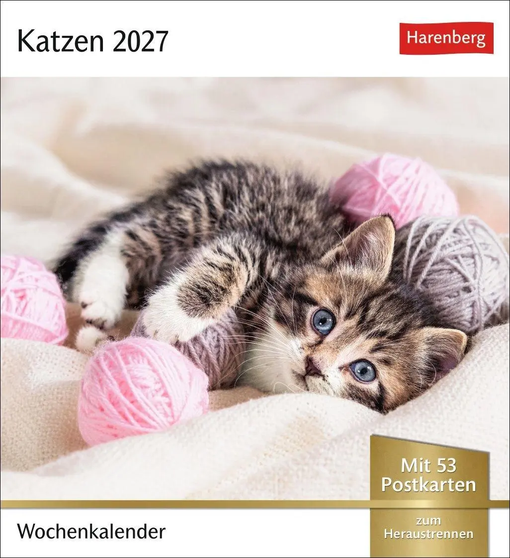 Cover: 9783840038440 | Katzen Postkartenkalender 2027 - Wochenkalender mit 53 Postkarten