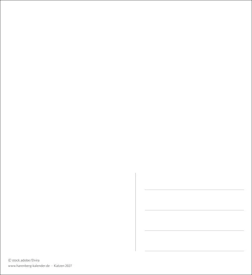 Bild: 9783840038440 | Katzen Postkartenkalender 2027 - Wochenkalender mit 53 Postkarten