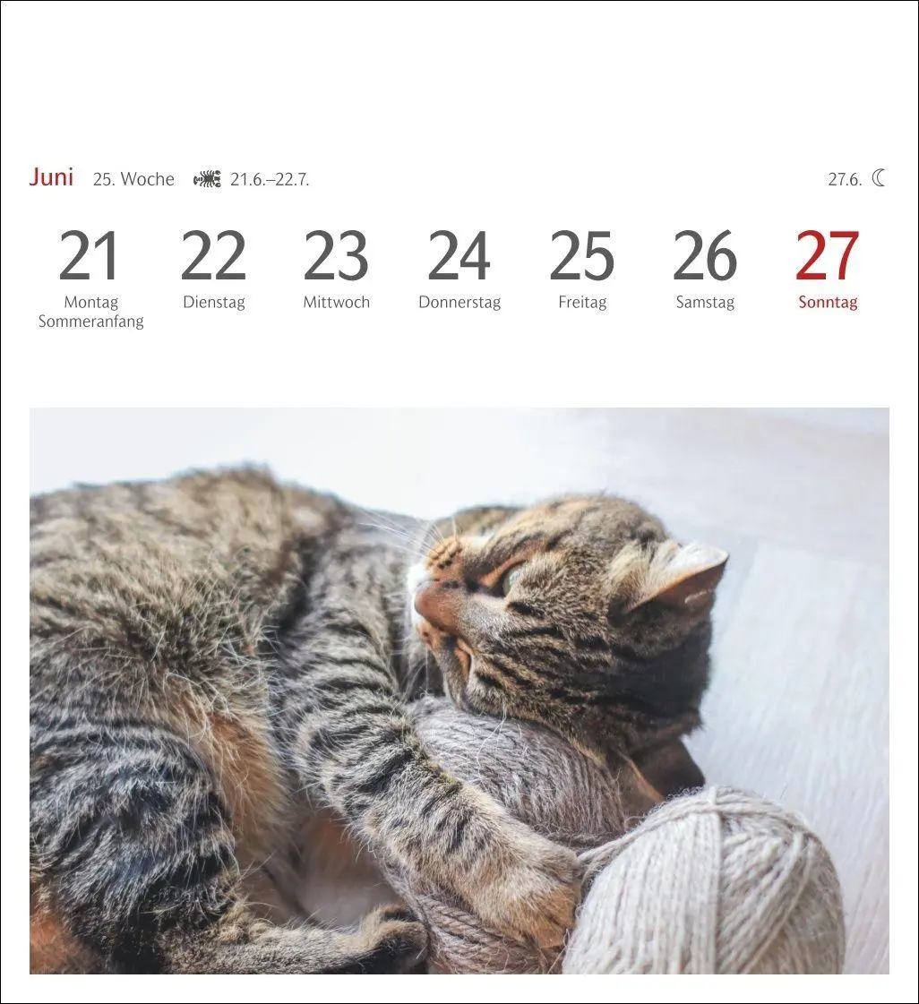 Bild: 9783840038440 | Katzen Postkartenkalender 2027 - Wochenkalender mit 53 Postkarten