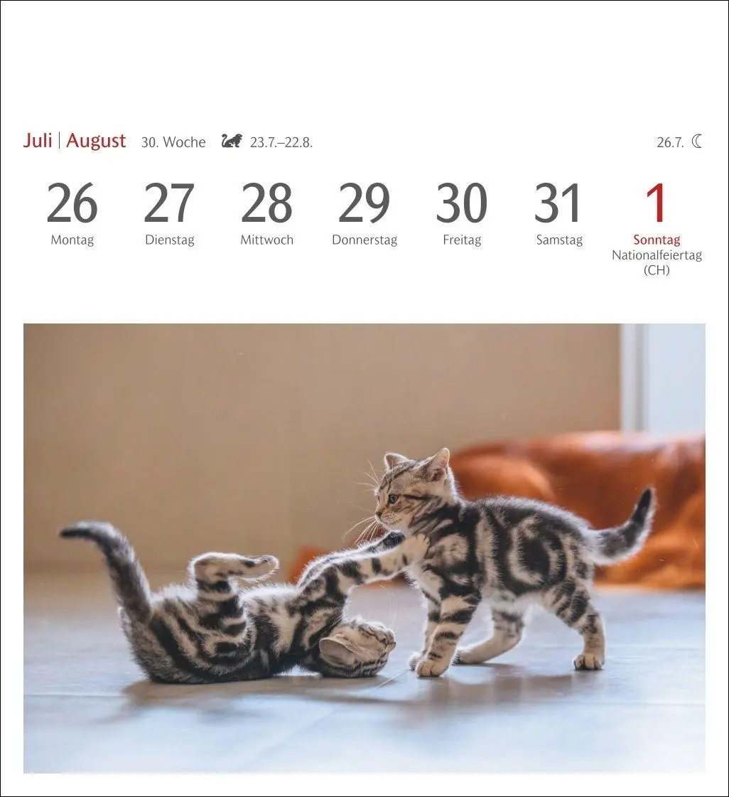 Bild: 9783840038440 | Katzen Postkartenkalender 2027 - Wochenkalender mit 53 Postkarten