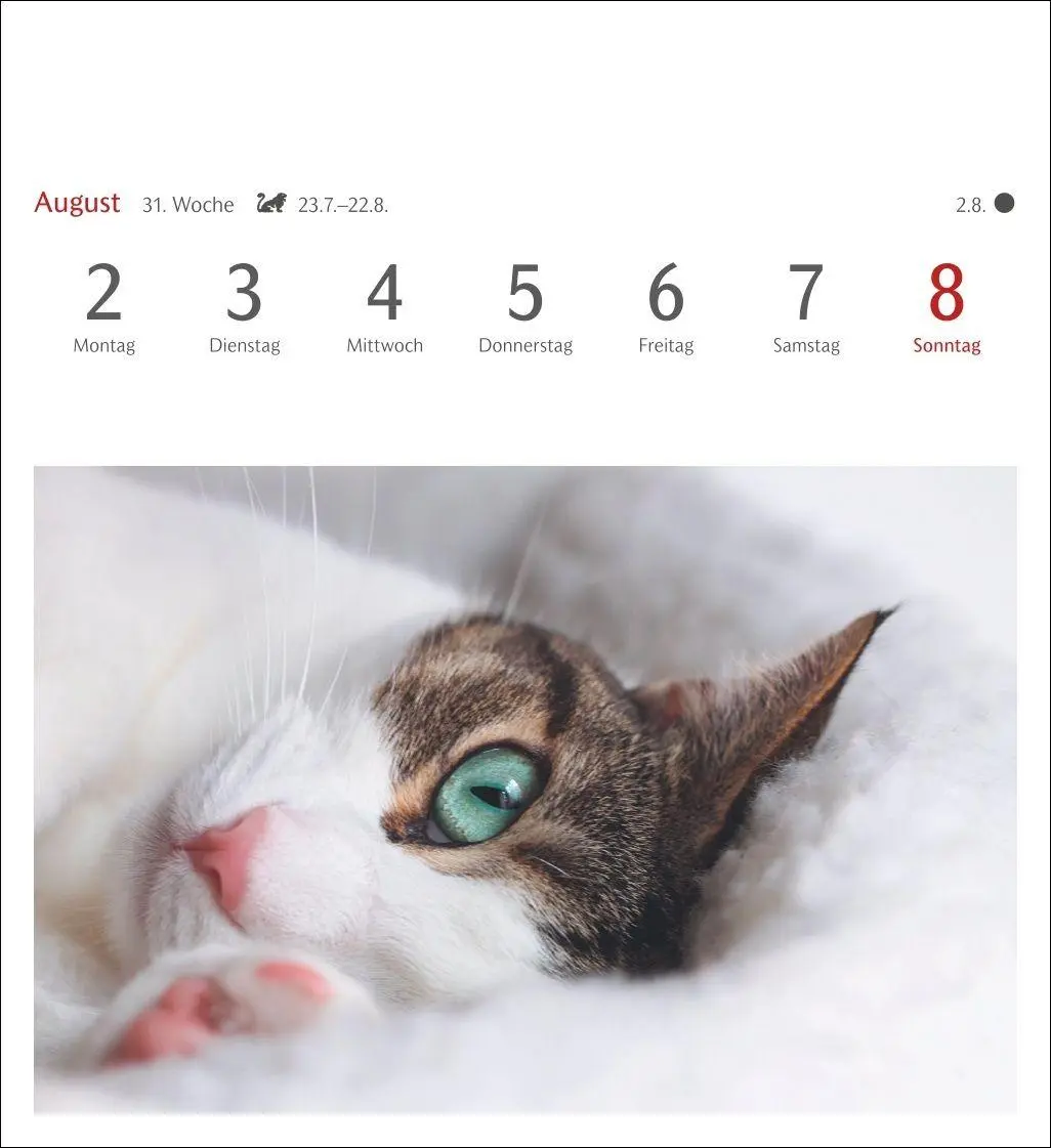 Bild: 9783840038440 | Katzen Postkartenkalender 2027 - Wochenkalender mit 53 Postkarten