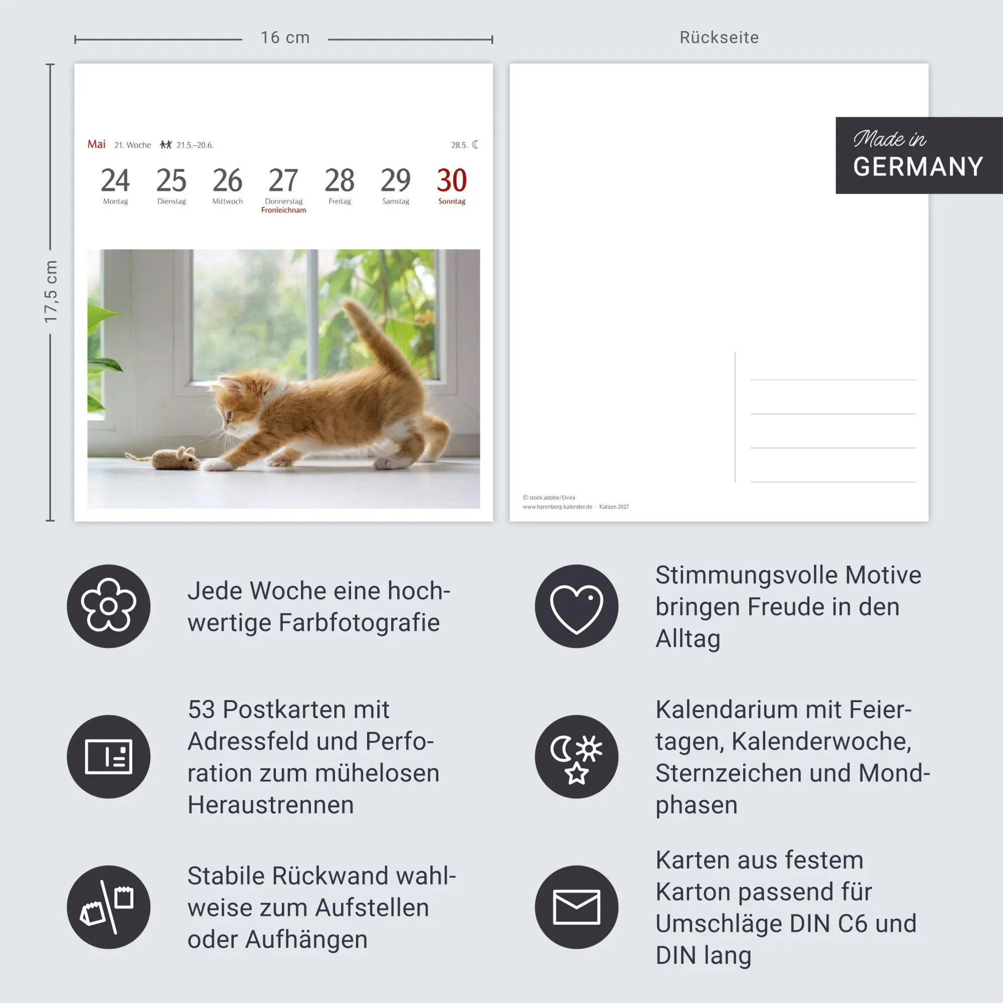 Bild: 9783840038440 | Katzen Postkartenkalender 2027 - Wochenkalender mit 53 Postkarten