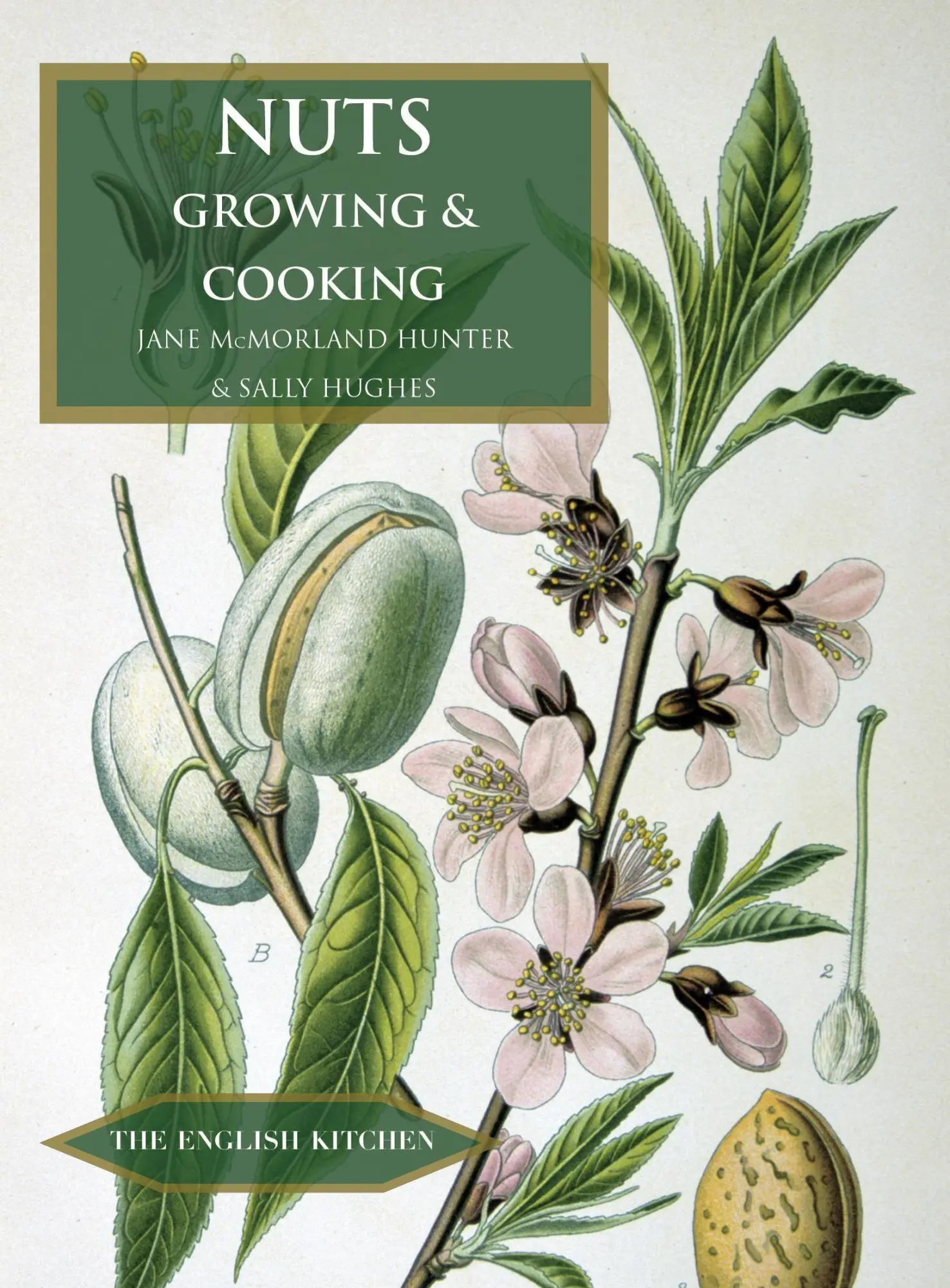 Cover: 9781909248540 | Nuts | Growing and Cooking | Jane McMorland-Hunter (u. a.) | Buch