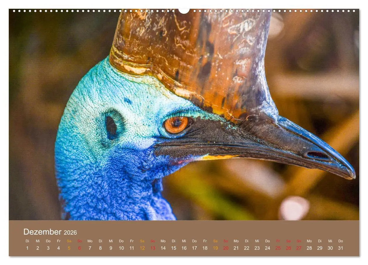 Bild: 9783457758540 | Australien, tierischer Kontinent (Wandkalender 2026 DIN A2 quer),...