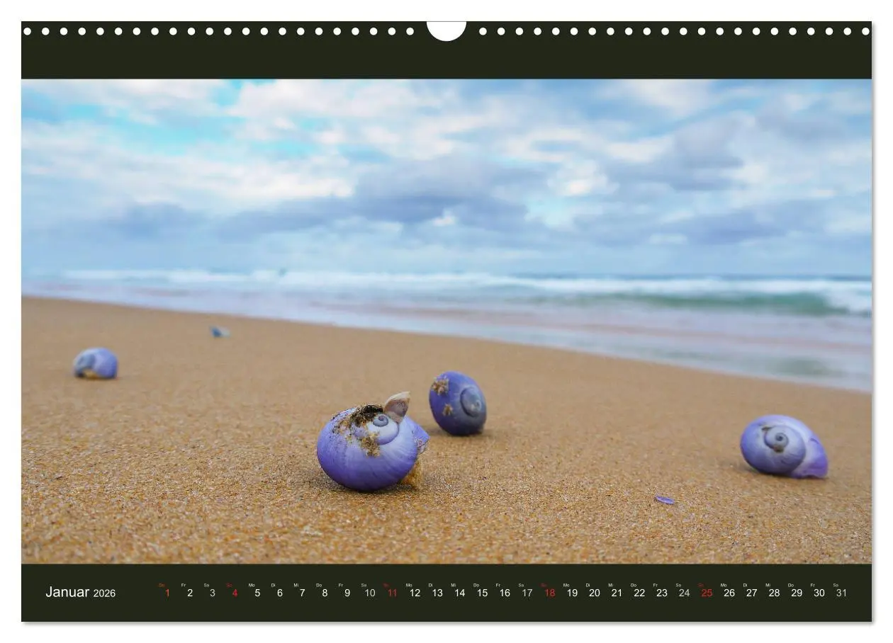 Bild: 9783516228540 | Australien - Farbige Vielfalt (Wandkalender 2026 DIN A3 quer),...