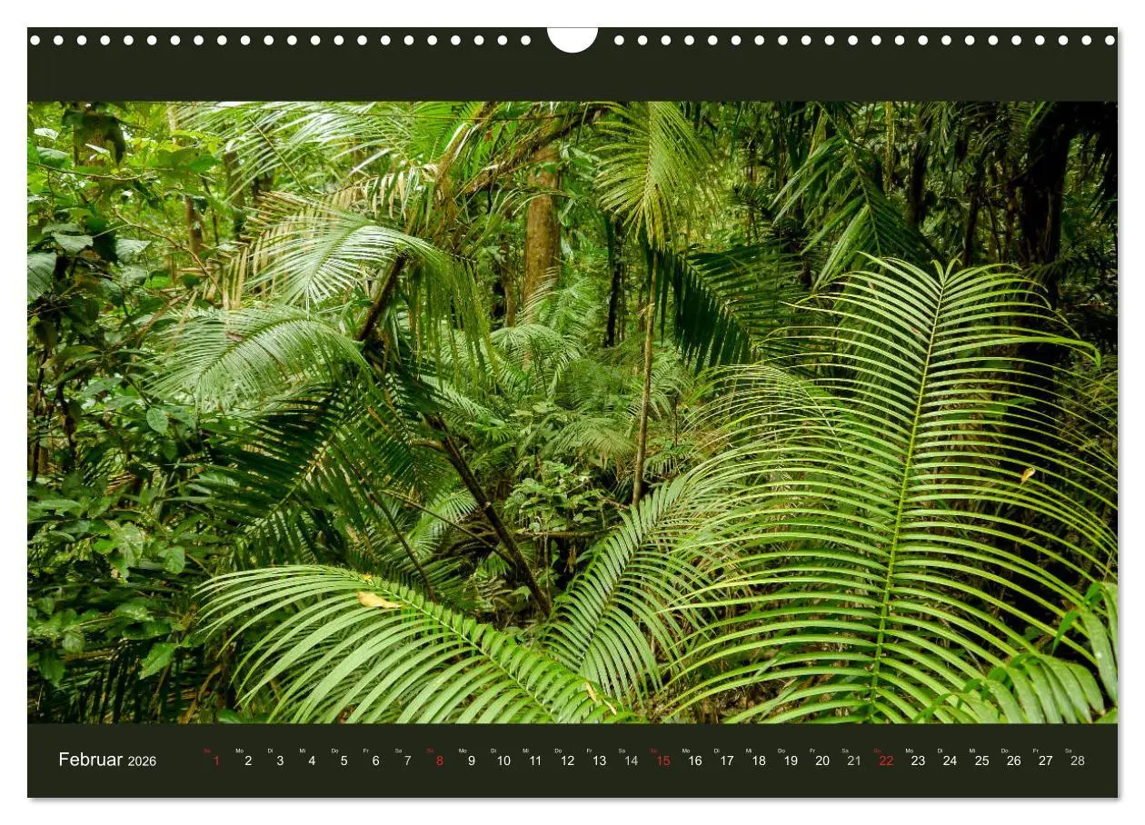 Bild: 9783516228540 | Australien - Farbige Vielfalt (Wandkalender 2026 DIN A3 quer),...