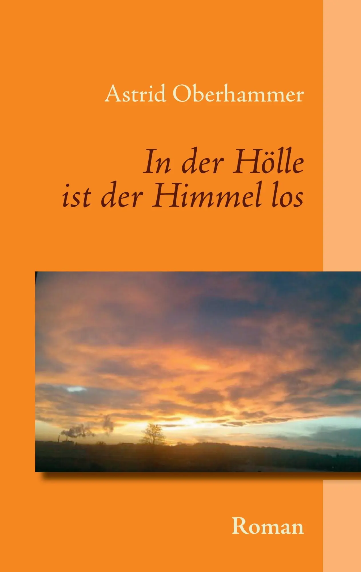 Cover: 9783732288540 | In der Hölle ist der Himmel los | Astrid Oberhammer | Taschenbuch