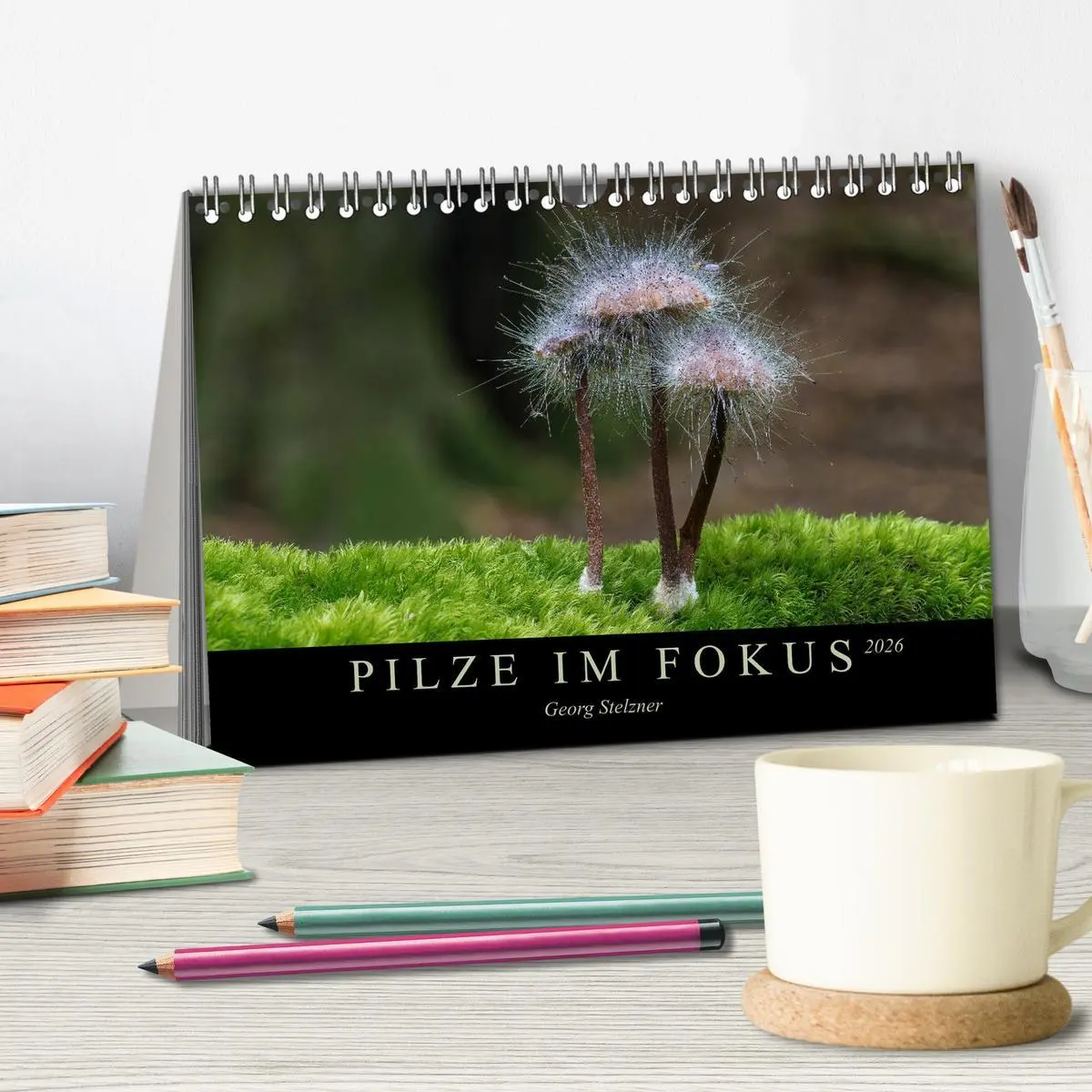 Bild: 9783457748640 | PILZE IM FOKUS 2026 (Tischkalender 2026 DIN A5 quer), CALVENDO...