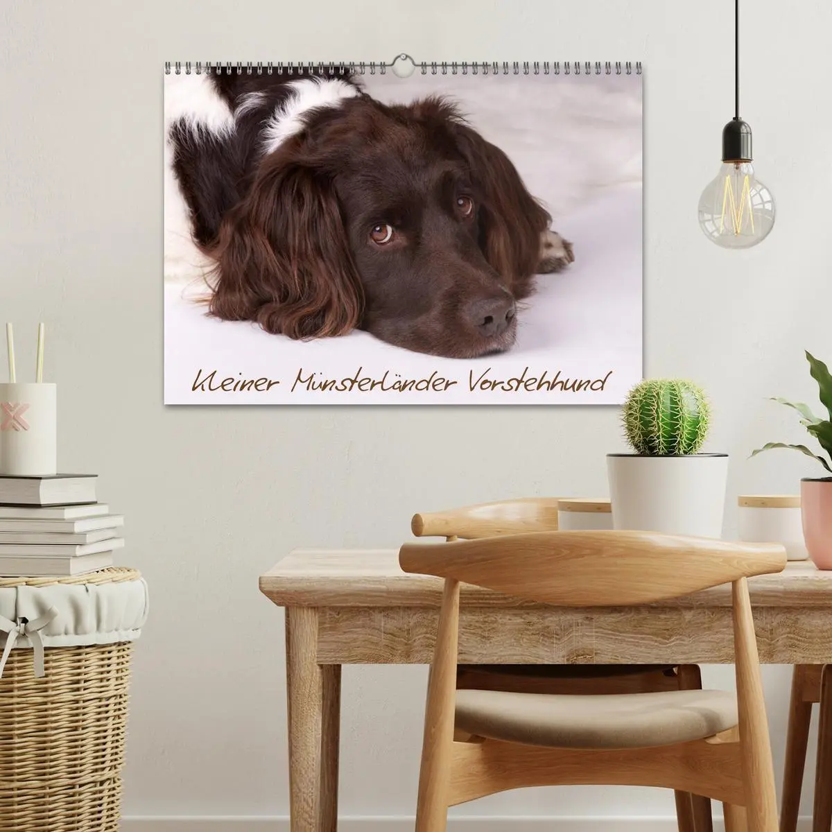 Bild: 9783516078640 | Kleiner Münsterländer Vorstehhund (Wandkalender 2026 DIN A3 quer),...