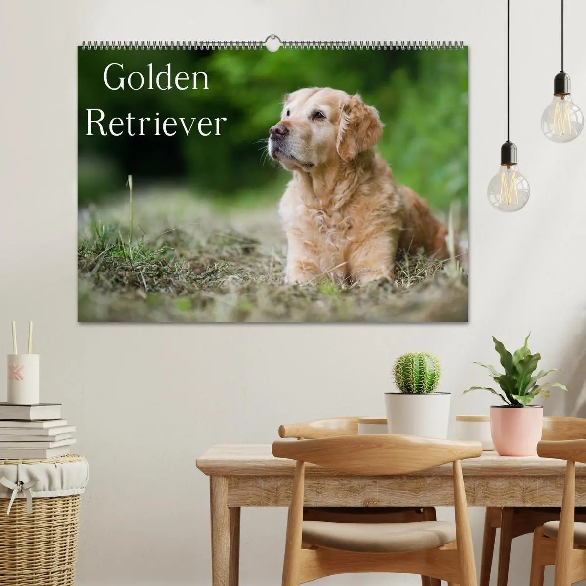 Bild: 9783516148640 | Golden Retriever (Wandkalender 2026 DIN A2 quer), CALVENDO...