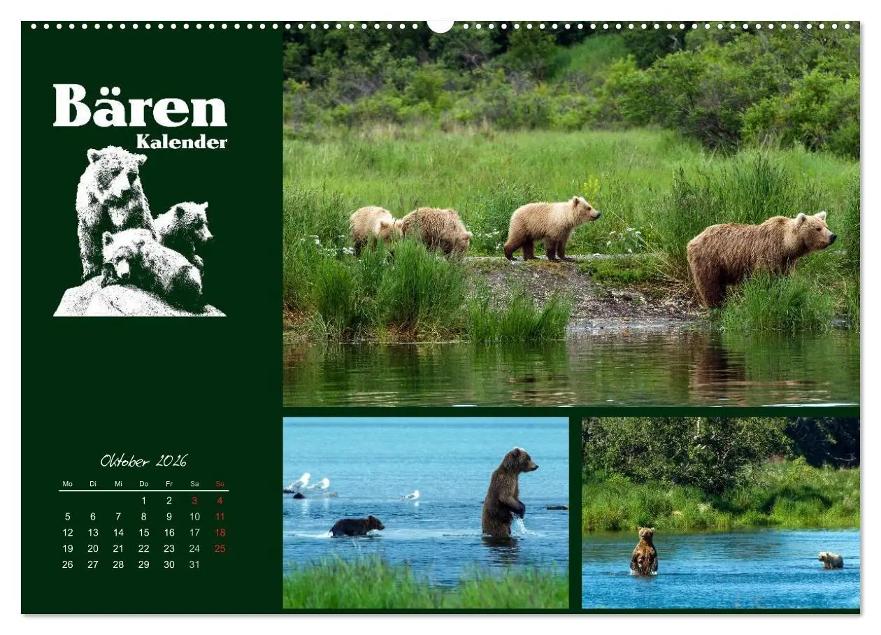 Bild: 9783516218640 | Bärenkalender (Wandkalender 2026 DIN A2 quer), CALVENDO Monatskalender