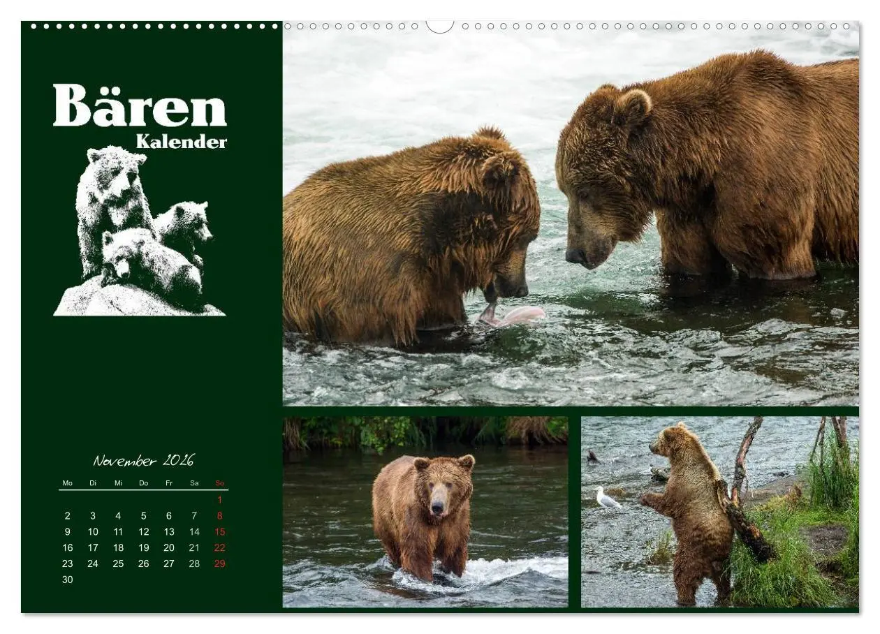 Bild: 9783516218640 | Bärenkalender (Wandkalender 2026 DIN A2 quer), CALVENDO Monatskalender