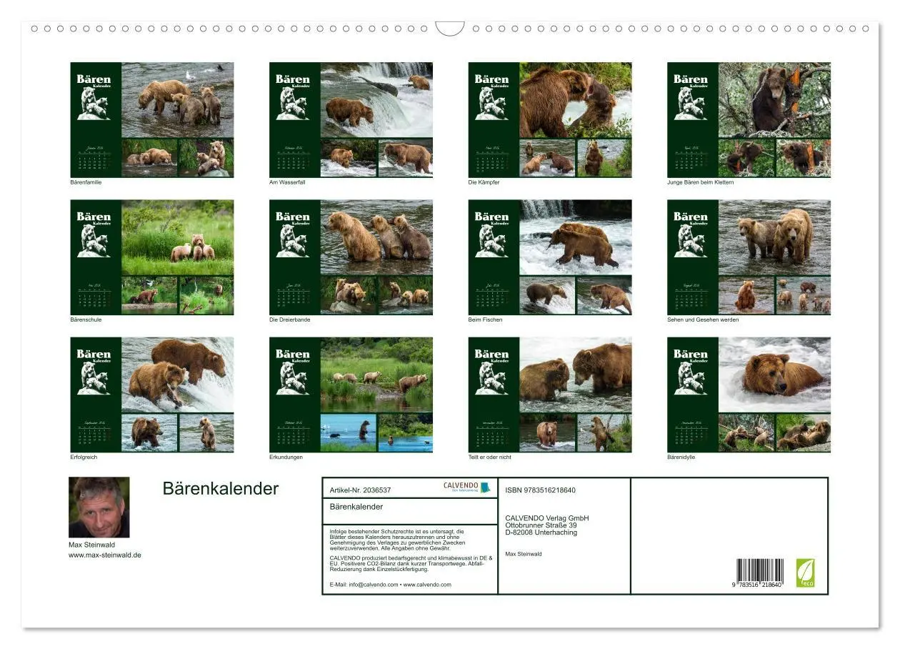 Bild: 9783516218640 | Bärenkalender (Wandkalender 2026 DIN A2 quer), CALVENDO Monatskalender