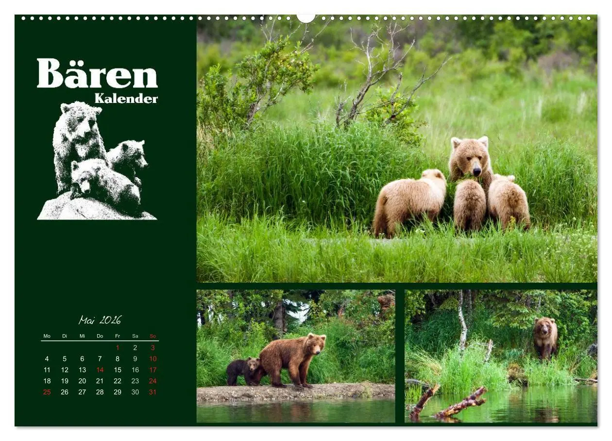 Bild: 9783516218640 | Bärenkalender (Wandkalender 2026 DIN A2 quer), CALVENDO Monatskalender