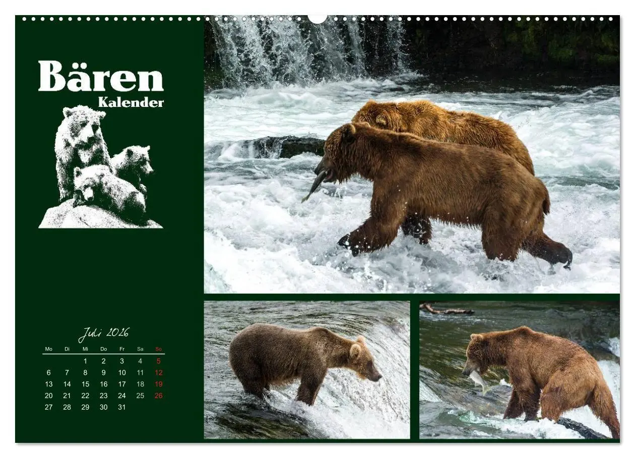 Bild: 9783516218640 | Bärenkalender (Wandkalender 2026 DIN A2 quer), CALVENDO Monatskalender