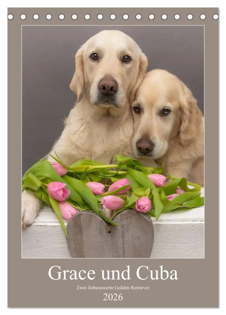 Cover: 9783516378740 | Grace und Cuba - Zwei liebenswerte Golden Retriever (Tischkalender...