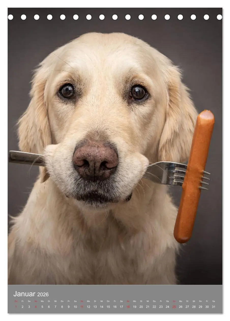 Bild: 9783516378740 | Grace und Cuba - Zwei liebenswerte Golden Retriever (Tischkalender...