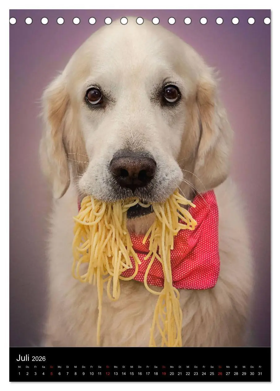 Bild: 9783516378740 | Grace und Cuba - Zwei liebenswerte Golden Retriever (Tischkalender...